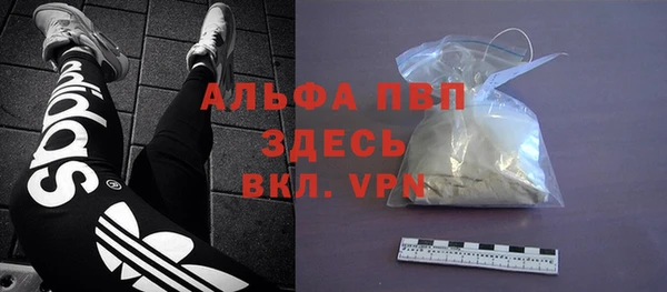 гашик Нея