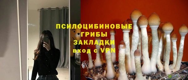 стафф Нефтекумск