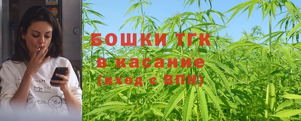 гашик Нея