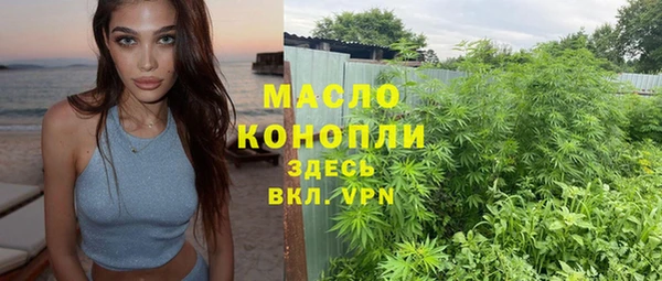 гашик Нея