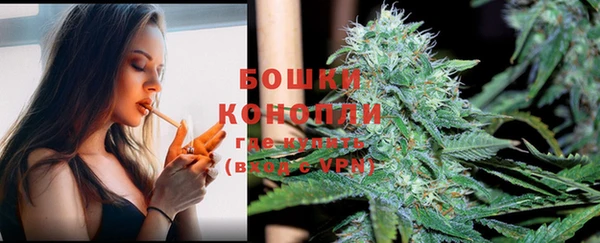 стафф Нефтекумск