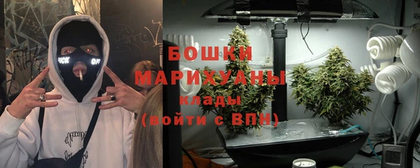 гашик Нея